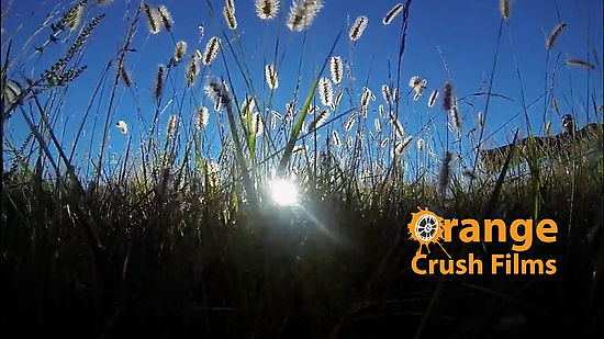 Orange Crush Films Show Reel
